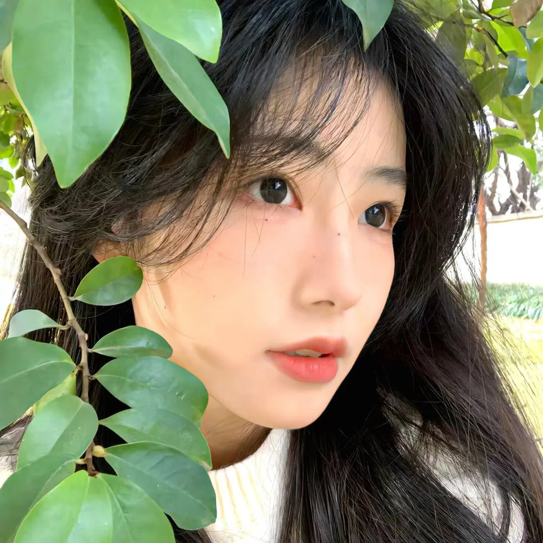 徘徊者
