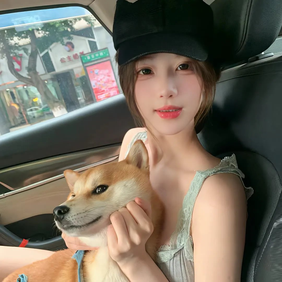 没有同情