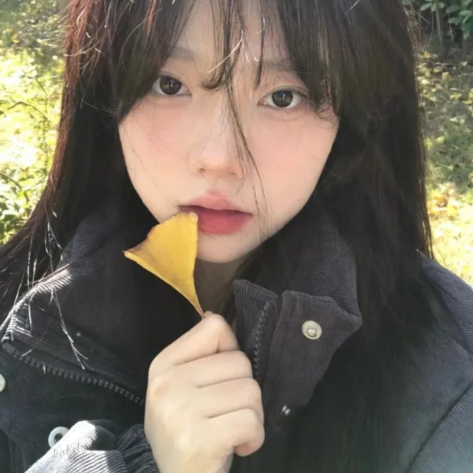 乳房与月亮